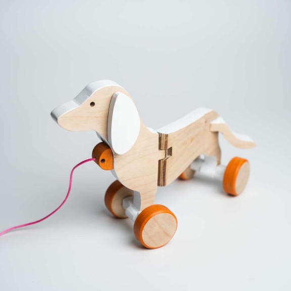 Cane bassotto bianco 2