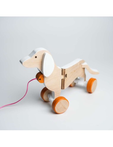 Cane bassotto bianco