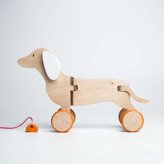 Cane bassotto bianco