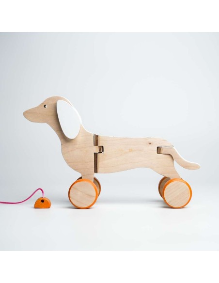 Cane bassotto bianco