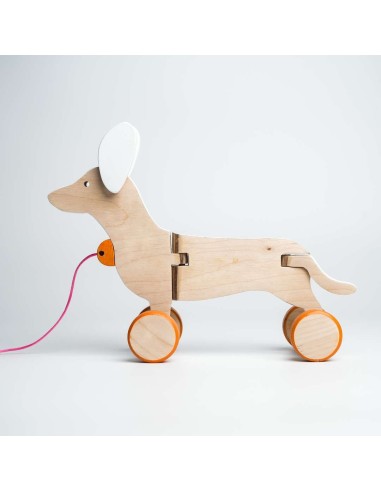 Cane bassotto bianco