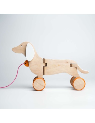 Cane bassotto bianco