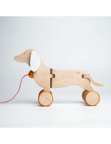 Cane bassotto bianco