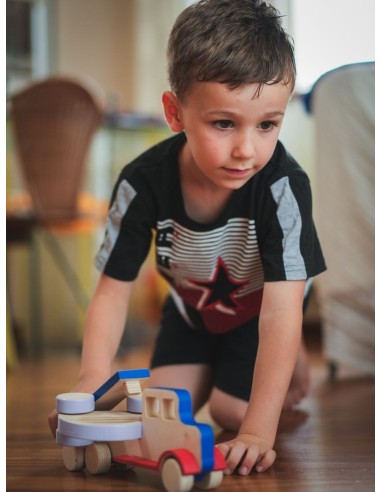 Camion in Legno "Big Truck" Giocattolo per Bambini 1+ | 24,5cm