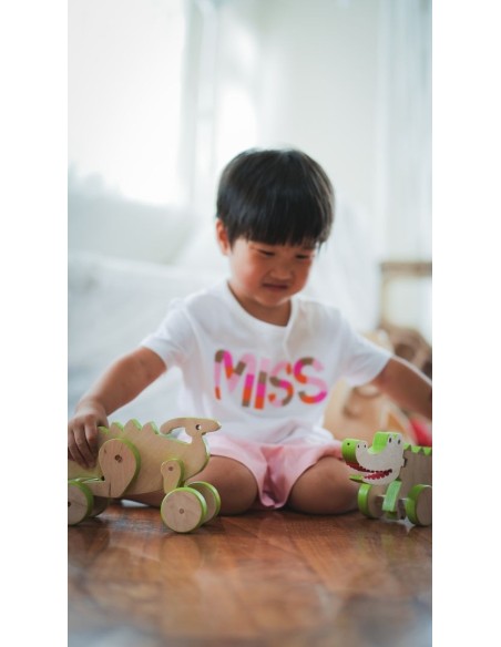 Gioco Coccodrillo Legno da Traino Magnetico per Bambini 2+