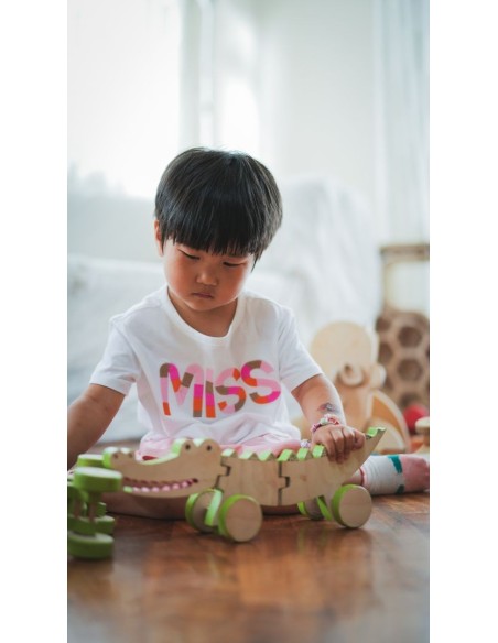 Gioco Coccodrillo Legno da Traino Magnetico per Bambini 2+