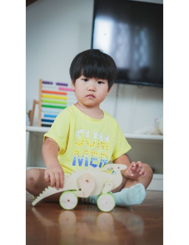 Dino Parasaurolophus Legno da Traino Magnetico 2+