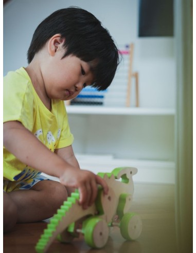 Dino Parasaurolophus Legno da Traino Magnetico 2+